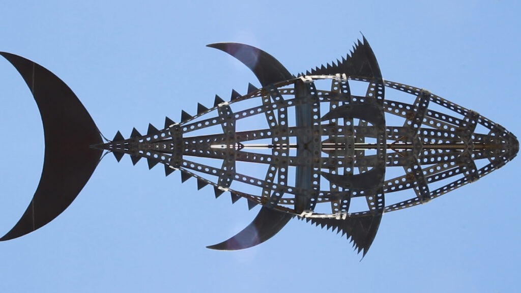 Cuerpos Sutiles, video artwork by Juan Pablo Pacheco