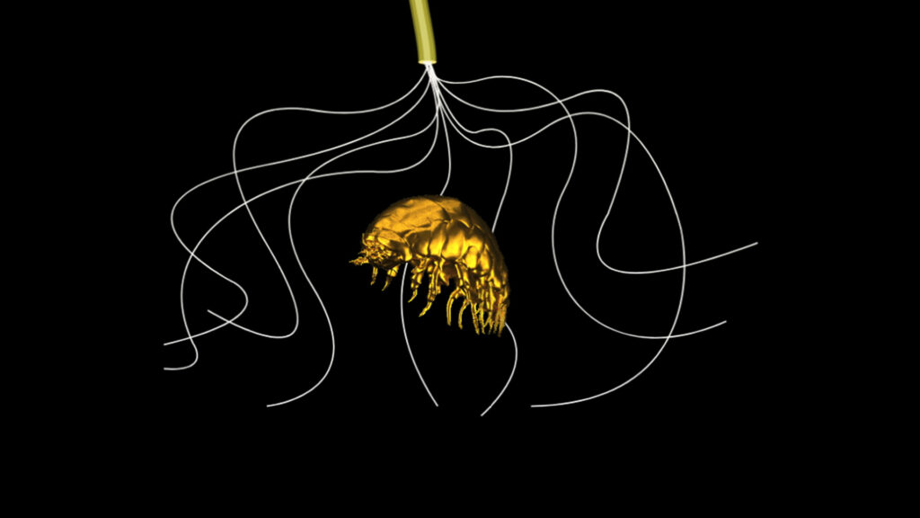 Underworld, an interactive online narrative by artist Juan Pablo Pacheco.