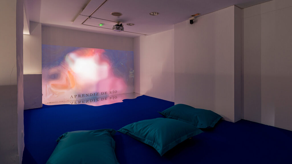 Aprendiz de Río, video installation by artist Juan Pablo Pacheco